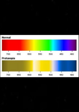 Be Protanopia Colour Blindness