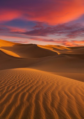 Live In Sahara Desert For A Week