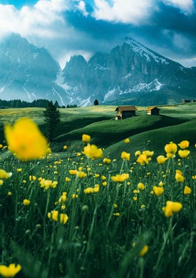I have cities, but no houses, I have mountains, but no trees, I have water,
but no fish,
What am i ?