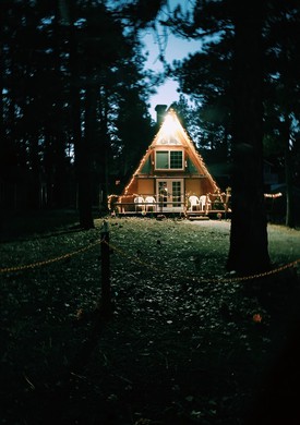 Live in a cabin in the woods