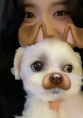 Jisoo's Dalgom