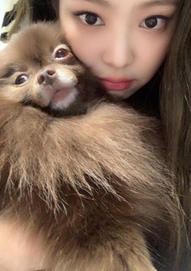 Jennie's Kuma