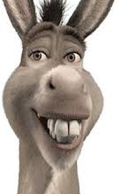 Be Donkey for 1week
