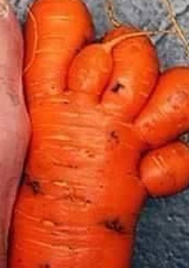 Be vegan