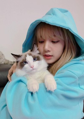 Lisa's cat - Lily