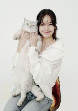 Lisa's cat - Leo