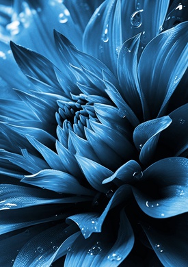 Blue 💙
