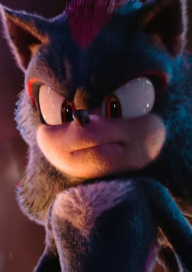 Shadow the hedgehog vs sonic and his team with sonic winning
