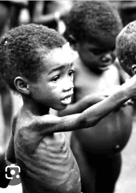 Solve world hunger