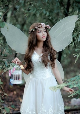 Fairy