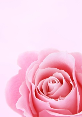 Pink 🩷